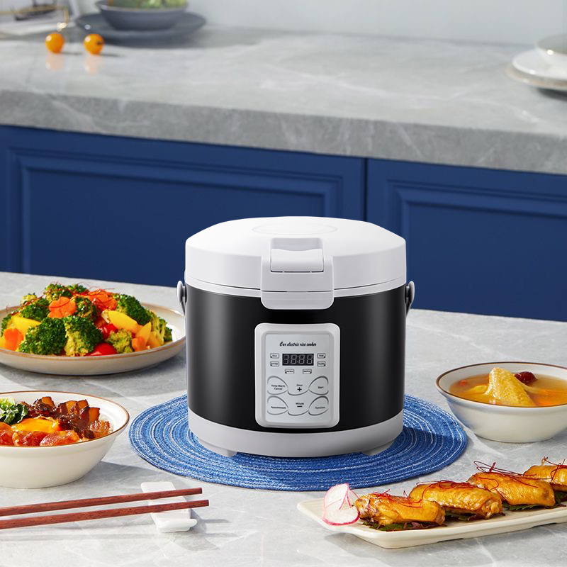 220V Mini Rice Cooker soup Ste - đánh giá và giá Home Cooking Menu