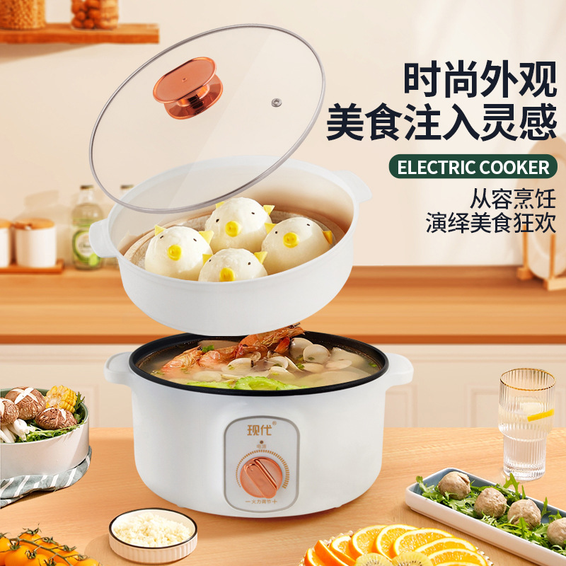 Multifunctional Mini Electric  - đánh giá và giá Home Cooking Appliances