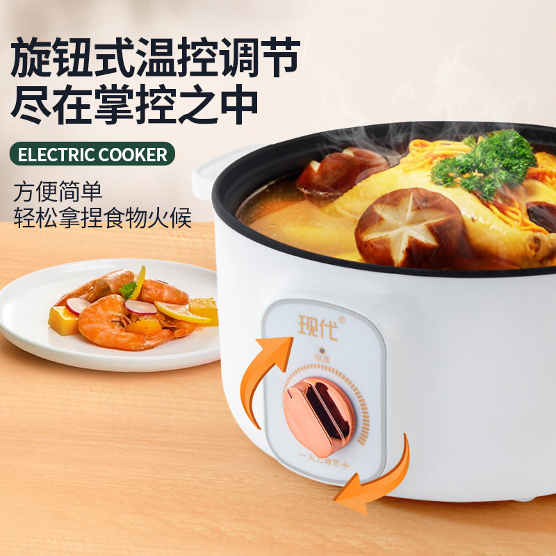 Multifunctional Mini Electric  - đánh giá và giá Home Cooking Appliances